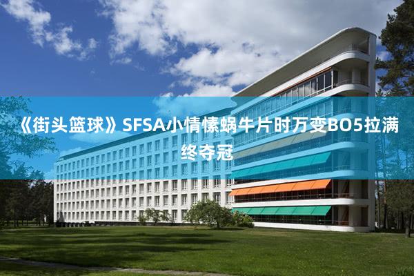 《街头篮球》SFSA小情愫蜗牛片时万变BO5拉满终夺冠