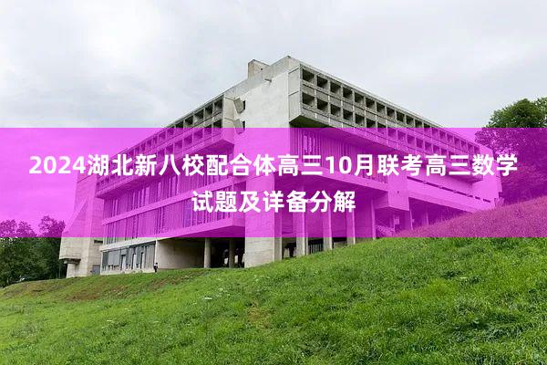 2024湖北新八校配合体高三10月联考高三数学试题及详备分解