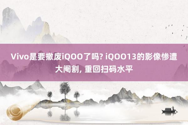 Vivo是要撤废iQOO了吗? iQOO13的影像惨遭大阉割, 重回扫码水平