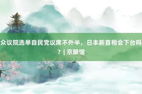 众议院选举自民党议席不外半，日本新首相会下台吗？| 京酿馆