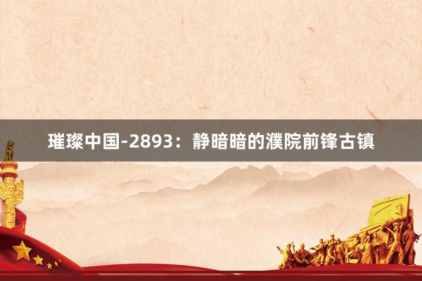 璀璨中国-2893：静暗暗的濮院前锋古镇