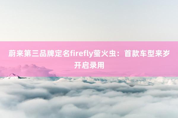 蔚来第三品牌定名firefly萤火虫：首款车型来岁开启录用