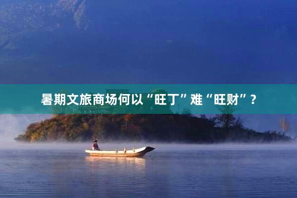 暑期文旅商场何以“旺丁”难“旺财”？