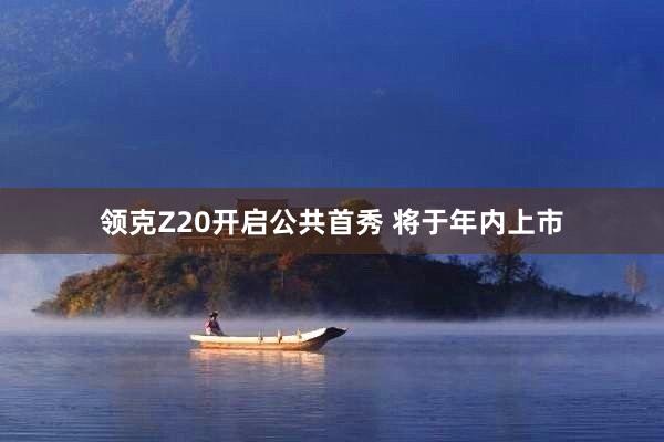 领克Z20开启公共首秀 将于年内上市
