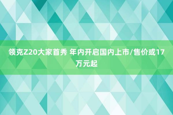 领克Z20大家首秀 年内开启国内上市/售价或17万元起